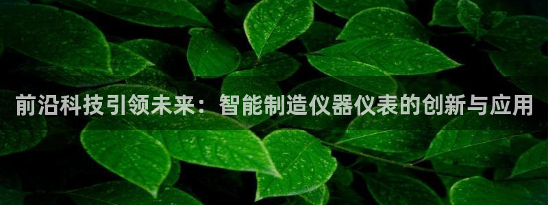 星欧娱乐注册40046：前沿科技引领未来：智能制造仪器仪表的