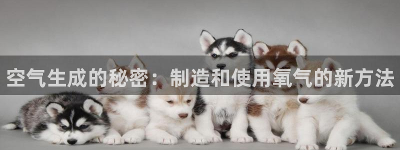 星欧娱乐app下载安装：空气生成的秘密：制造和使用氧气的新方