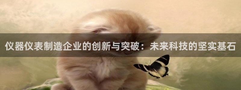 欧星娱乐注册：仪器仪表制造企业的创新与突破：未来科技的坚实基