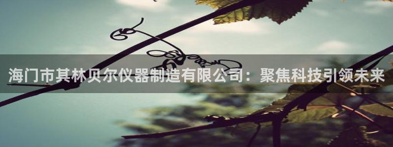 欧星娱乐平台是黑的吗：海门市其林贝尔仪器制造有限公司：聚焦科