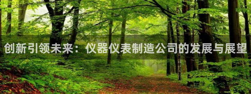 星欧娱乐还能玩吗：创新引领未来：仪器仪表制造公司的发展与展望