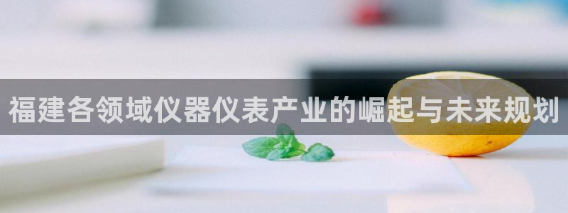 欧星娱乐平台：福建各领域仪器仪表产业的崛起与未来规划