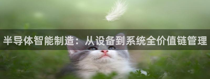欧星娱乐网站：半导体智能制造：从设备到系统全价值链管理