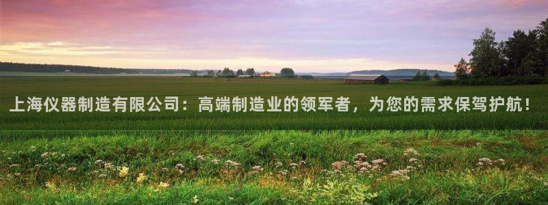 星欧娱乐平台电话：上海仪器制造有限公司：高端制造业的领军者，