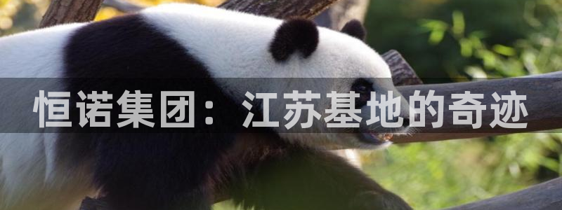 星娱乐欧嘉78778