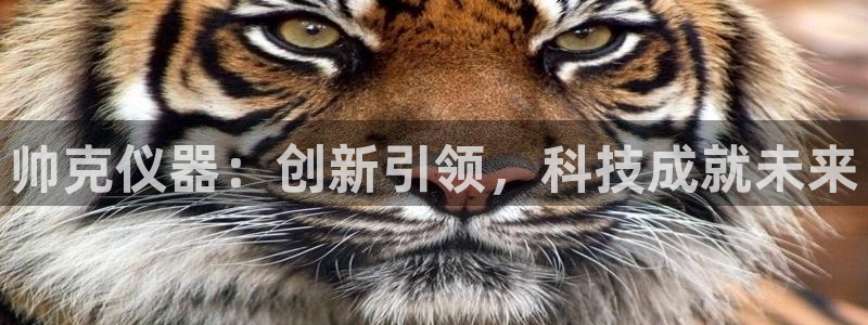 匠星娱乐政f下跪欧普软件园：帅克仪器：创新引领，科技成就未来