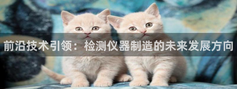 欧星开户娱乐：前沿技术引领：检测仪器制造的未来发展方向