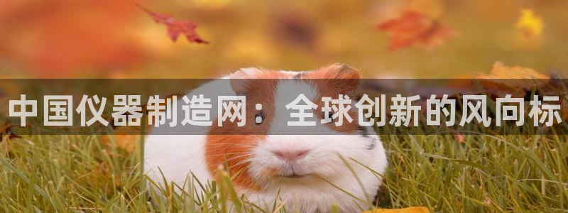 星欧娱乐代理：中国仪器制造网：全球创新的风向标