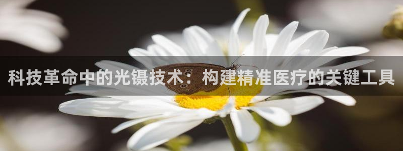 欧尼匠星娱乐