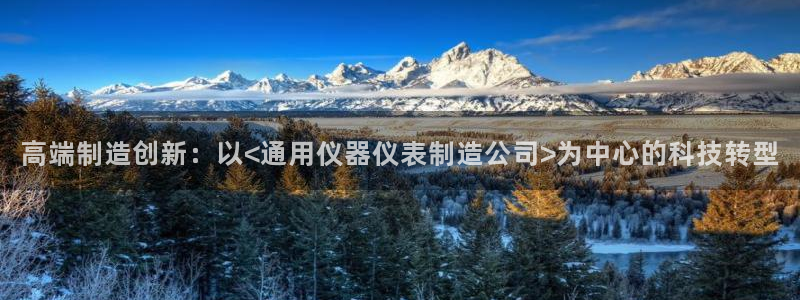 欧星娱乐的真实性：高端制造创新：以<通用仪器仪表制造公司>为