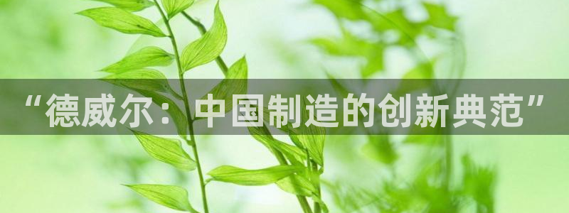星辉娱乐进入欧连杯了吗