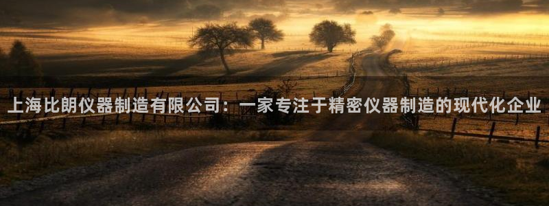 星欧娱乐官方客服电话：上海比朗仪器制造有限公司：一家专注于精