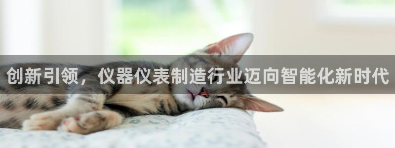 星欧娱乐开户：创新引领，仪器仪表制造行业迈向智能化新时代