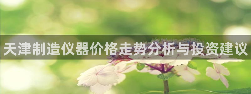 星欧娱乐注册官网：天津制造仪器价格走势分析与投资建议