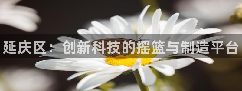 欧联杯正赛星辉娱乐：延庆区：创新科技的摇篮与制造平台