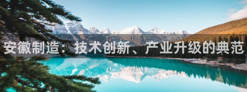 星欧娱乐平台是否安全：安徽制造：技术创新、产业升级的典范