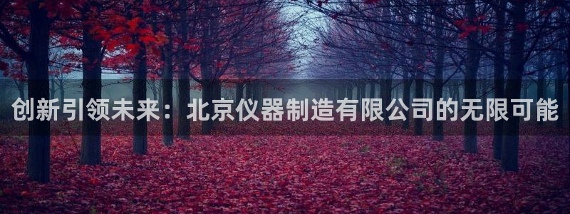 星欧娱乐最新状况：创新引领未来：北京仪器制造有限公司的无限可