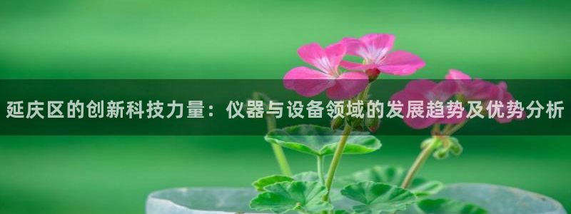 星欧娱乐公司电话号码：延庆区的创新科技力量：仪器与设备领域的