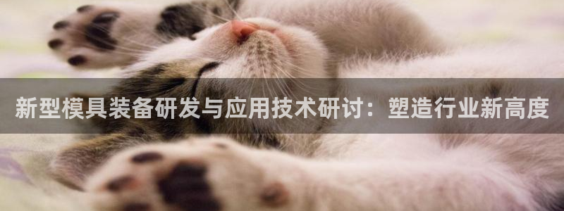 星欧娱乐平台官网入口：新型模具装备研发与应用技术研讨：塑造行