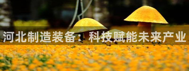 欧星娱乐足彩：河北制造装备：科技赋能未来产业
