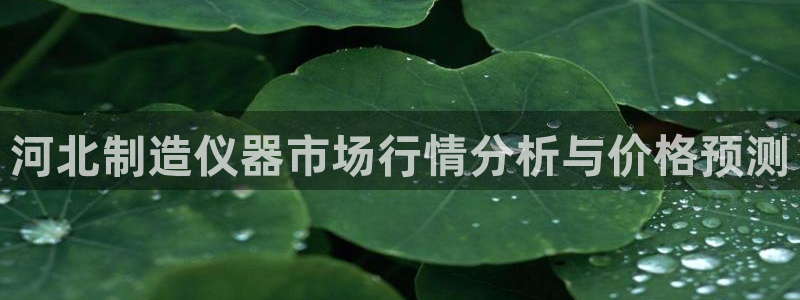 星娱乐online欧弟：河北制造仪器市场行情分析与价格预测