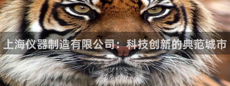 星欧娱乐意7O777：上海仪器制造有限公司：科技创新的典范城