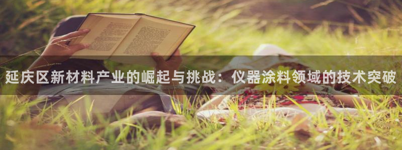 欧星线上娱乐：延庆区新材料产业的崛起与挑战：仪器涂料领域的技