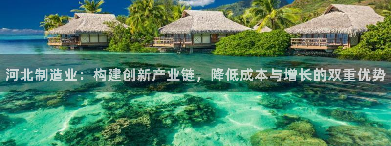 星欧娱乐公司老板背景：河北制造业：构建创新产业链，降低成本与