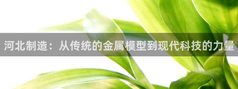 欧星娱乐平台是黑的吗：河北制造：从传统的金属模型到现代科技的