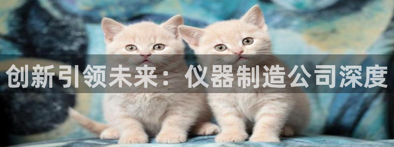 星欧娱乐的创始人背景：创新引领未来：仪器制造公司深度
