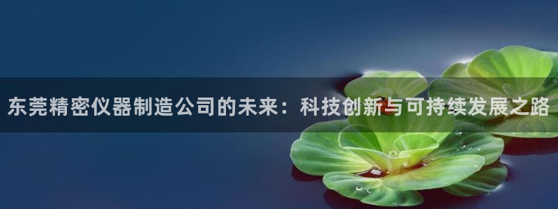 星欧娱乐平台靠谱吗：东莞精密仪器制造公司的未来：科技创新与可