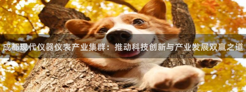 星欧娱乐官网在线登录入口：成都现代仪器仪表产业集群：推动科技