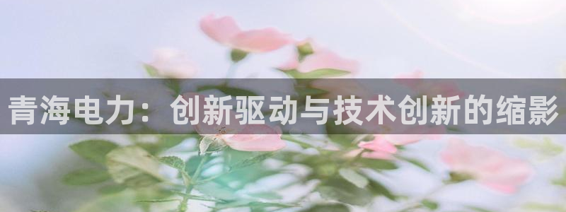 星欧娱乐扣钱步骤详解：青海电力：创新驱动与技术创新的缩影