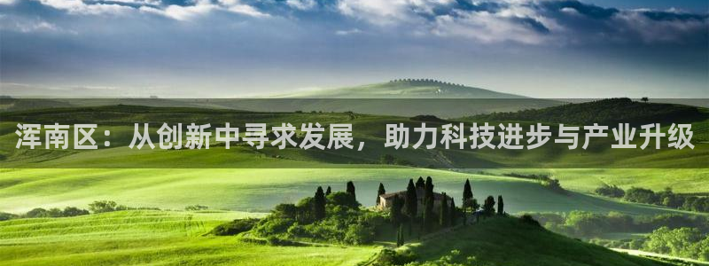 星欧娱乐游戏：浑南区：从创新中寻求发展，助力科技进步与产业升
