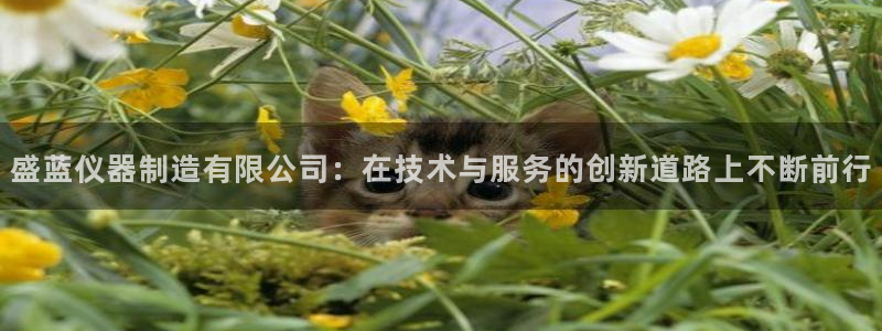 欧乐星城娱乐的介绍：盛蓝仪器制造有限公司：在技术与服务的创新