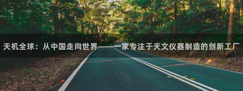 星辉娱乐进入欧联杯