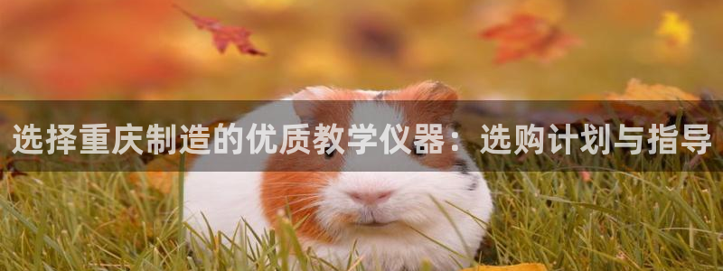 欧星娱乐公司：选择重庆制造的优质教学仪器：选购计划与指导