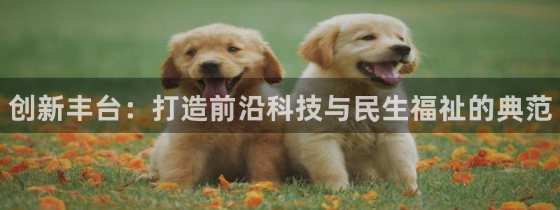 欧星线上娱乐：创新丰台：打造前沿科技与民生福祉的典范