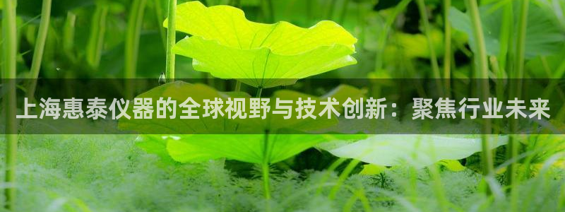 星辉娱乐进入欧连杯：上海惠泰仪器的全球视野与技术创新：聚焦行