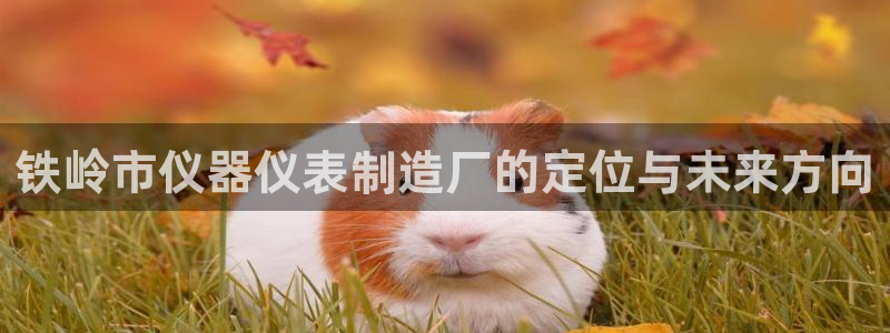 星欧娱乐app下载安装：铁岭市仪器仪表制造厂的定位与未来方向