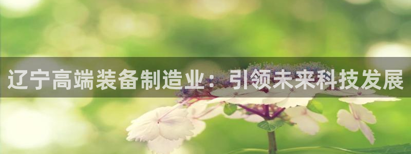 星欧娱乐官方网站首页：辽宁高端装备制造业：引领未来科技发展