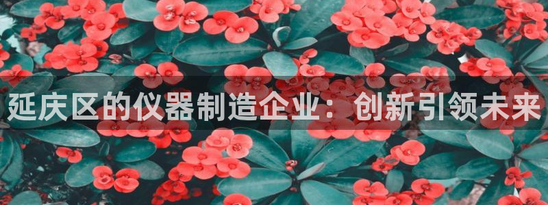 星欧娱乐开户：延庆区的仪器制造企业：创新引领未来