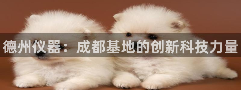 欧星娱乐棋牌：德州仪器：成都基地的创新科技力量
