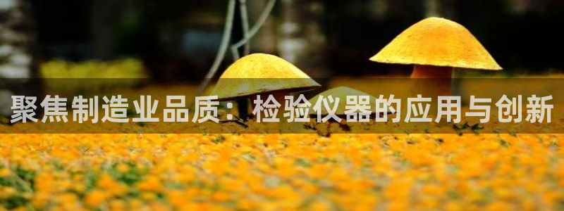 欧汇星娱乐城：聚焦制造业品质：检验仪器的应用与创新