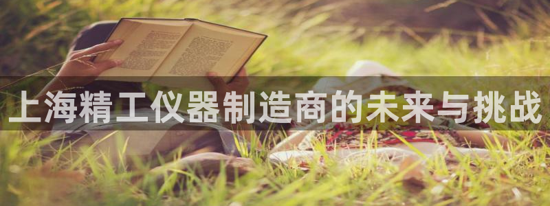 星欧娱乐登陆：上海精工仪器制造商的未来与挑战