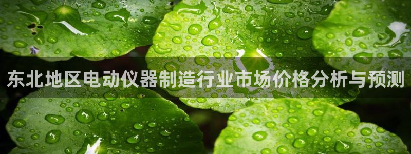欧乐星城娱乐的介绍：东北地区电动仪器制造行业市场价格分析与预