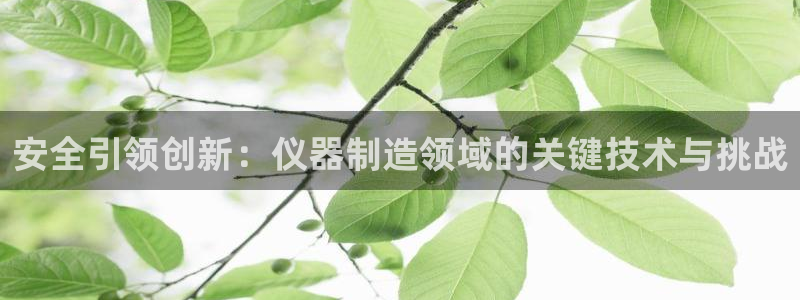 星欧娱乐平台下载：安全引领创新：仪器制造领域的关键技术与挑战