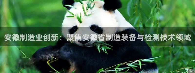 星欧娱乐登录：安徽制造业创新：聚焦安徽省制造装备与检测技术领