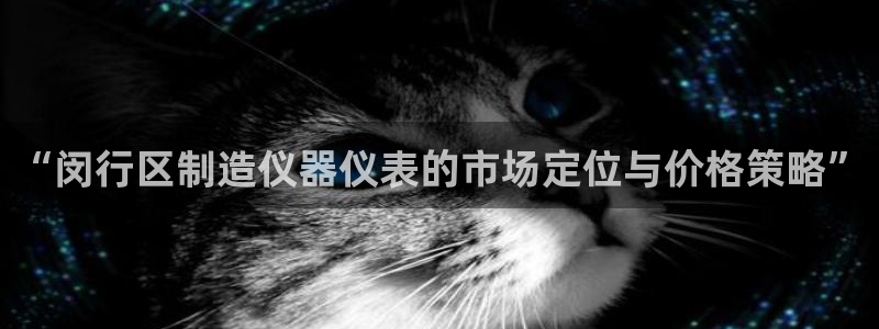 欧赫娱乐 超级星学院：“闵行区制造仪器仪表的市场定位与价格策