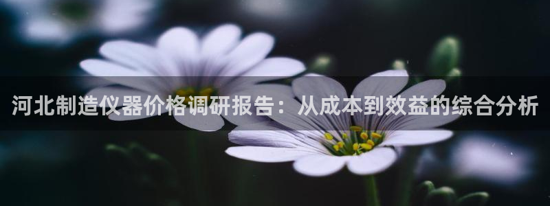 欧乐星城团购娱乐：河北制造仪器价格调研报告：从成本到效益的综